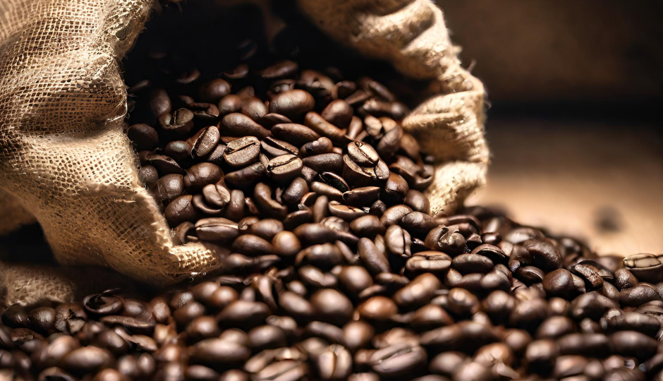 coffee beans_canva